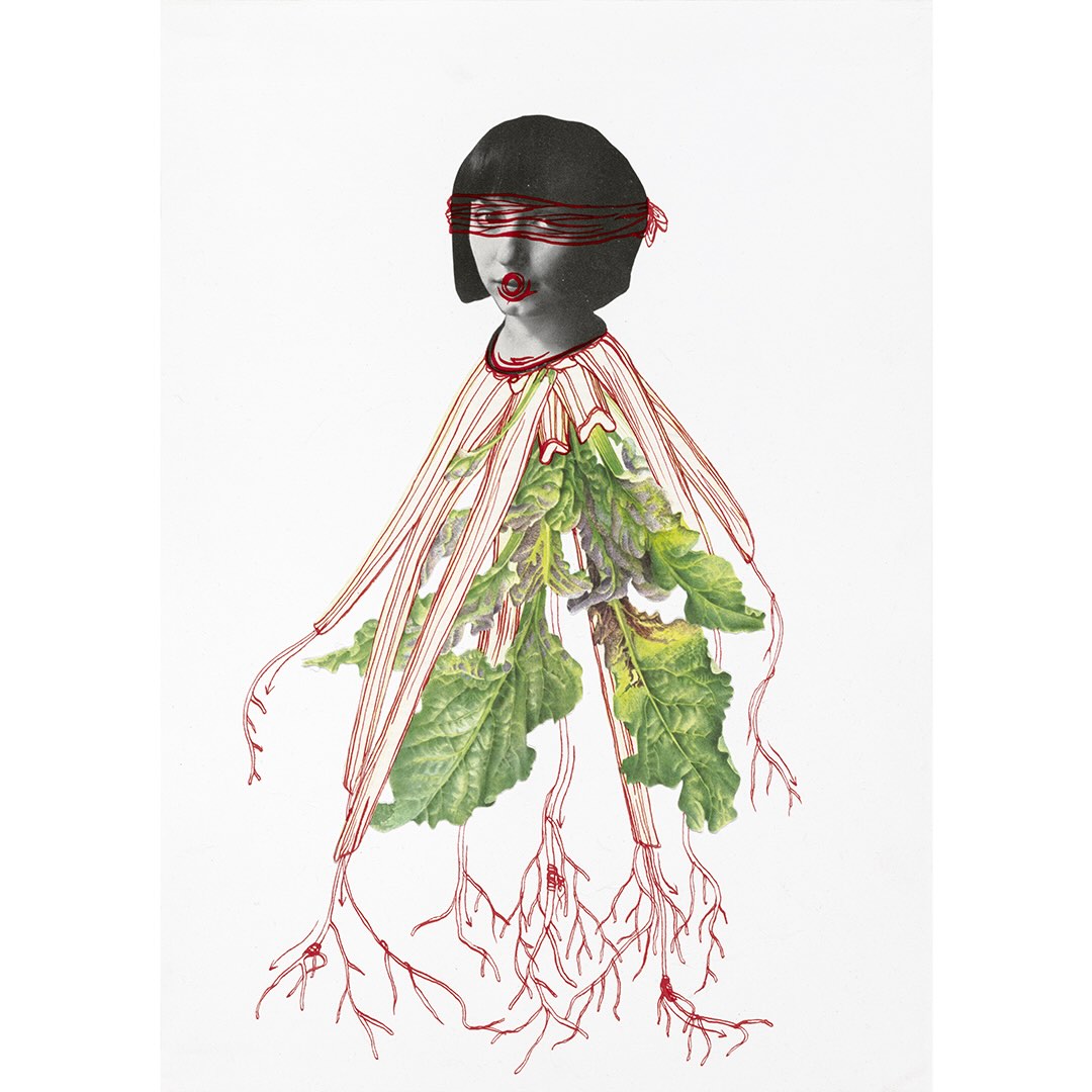 Eva Koťátková | Transplanted