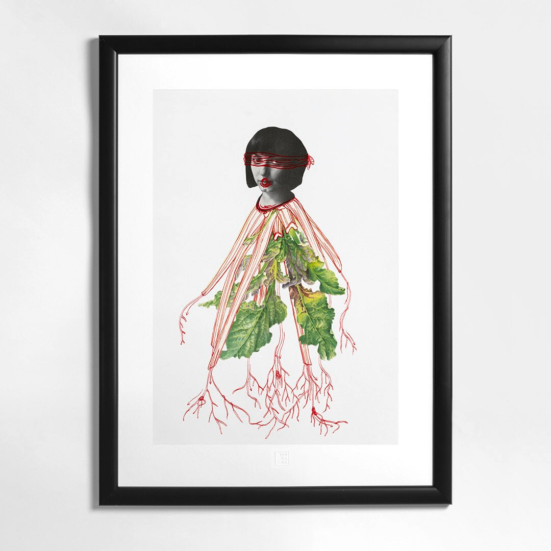 Eva Koťátková | Transplanted
