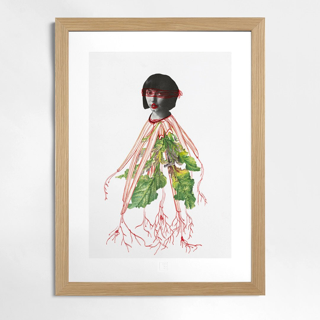 Eva Koťátková | Transplanted