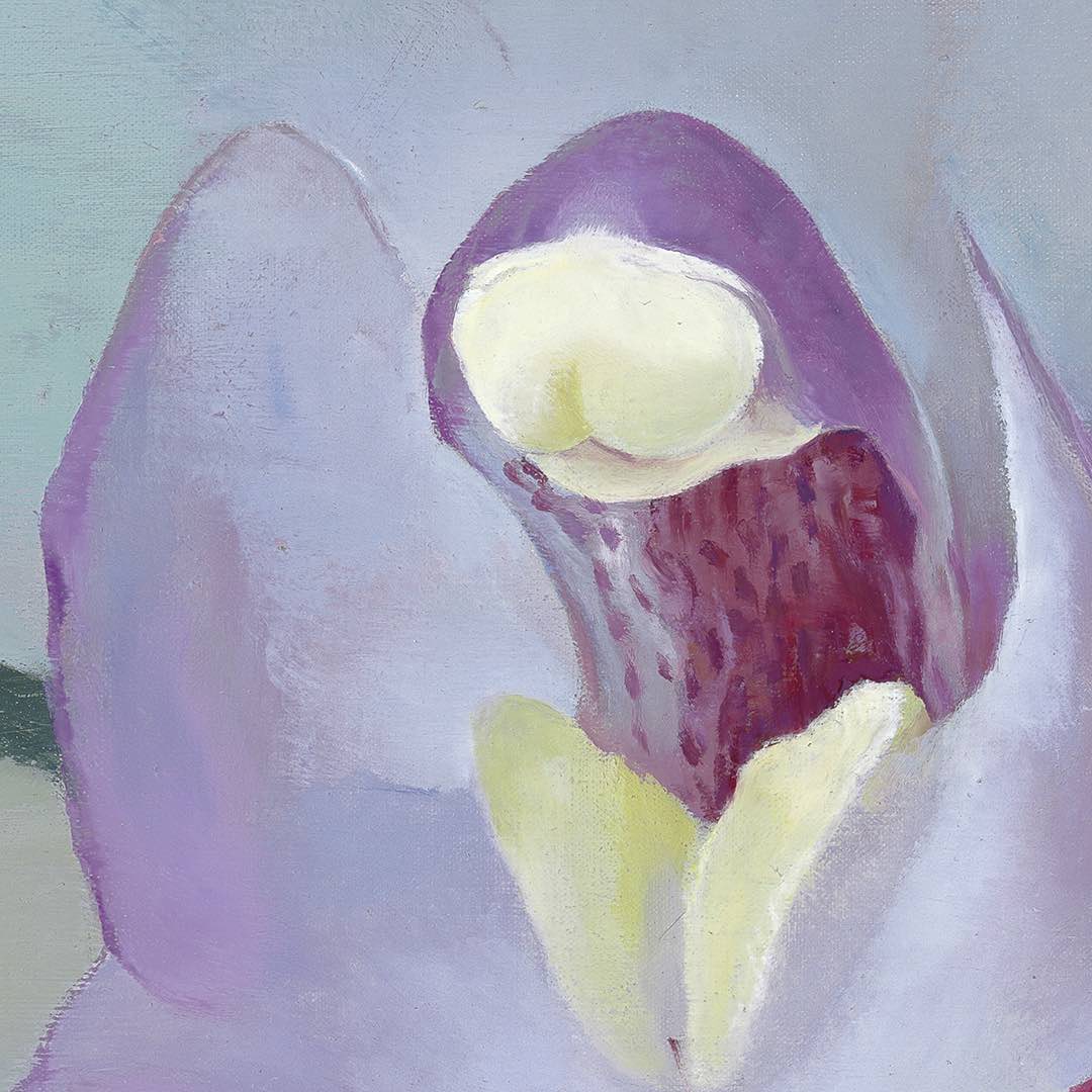 Petr Nikl | Orchidej XIII