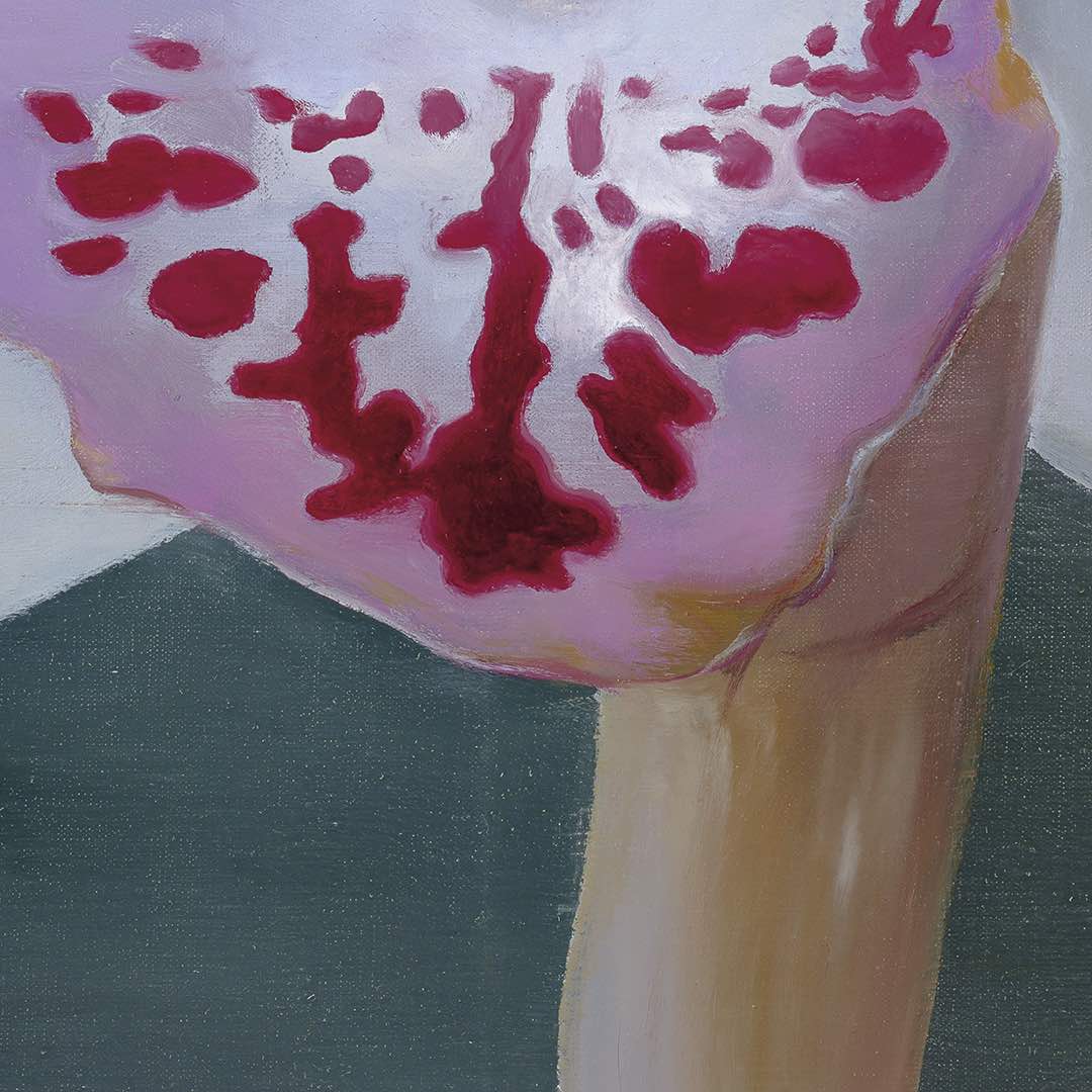 Petr Nikl | Orchidej XIII