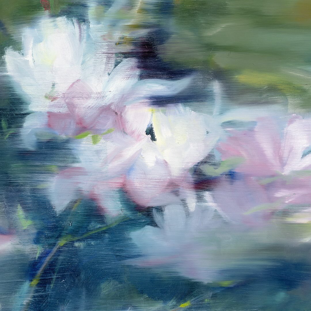 Tomáš Němec | Magnolia (Special Print - in the black frame)