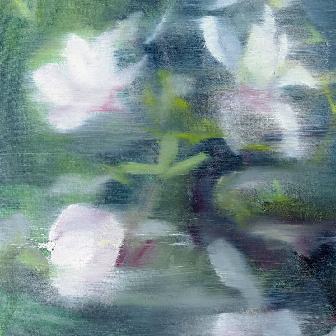 Tomáš Němec | Magnolia (Special Print - in the black frame)