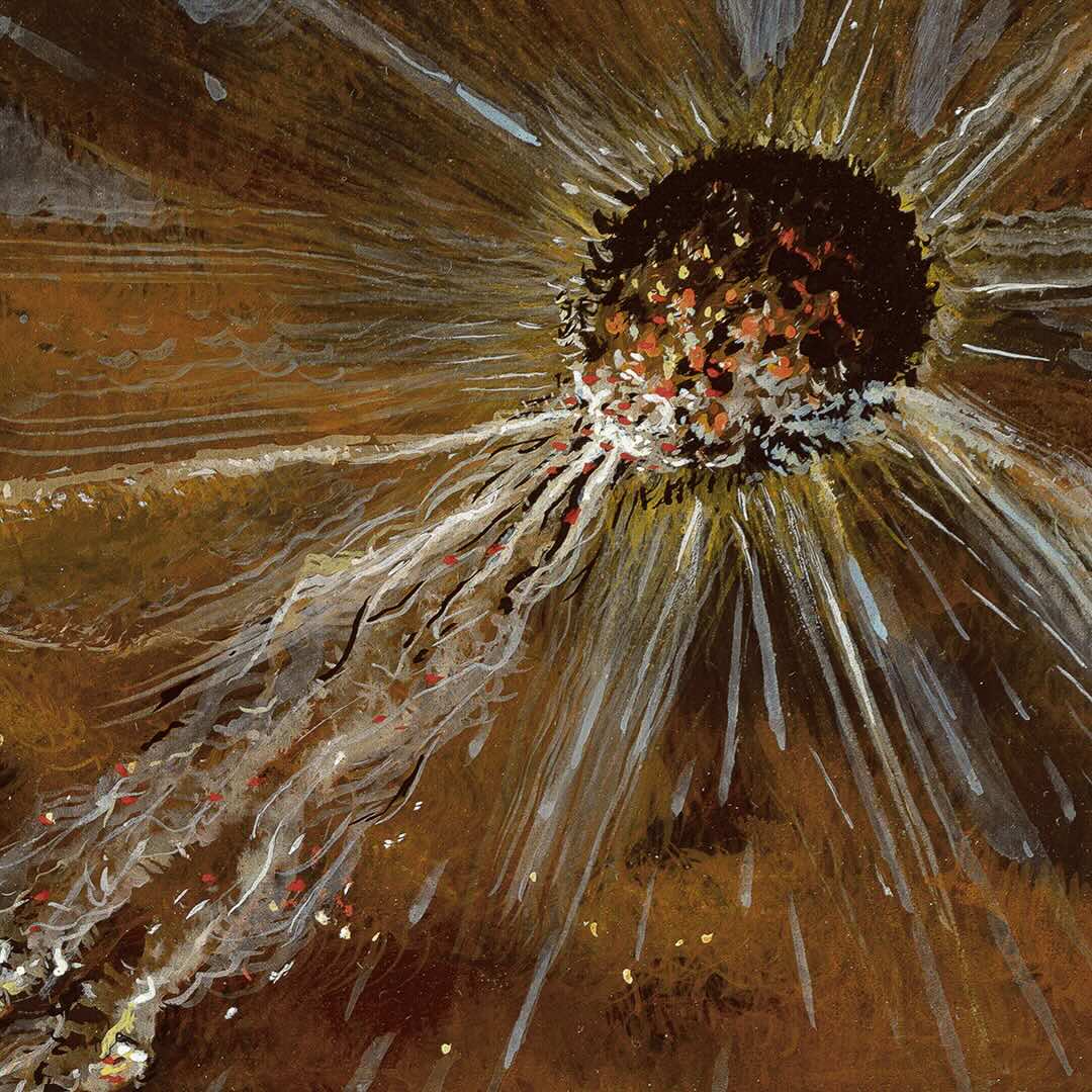 Tomasz Kulka | Protoplast