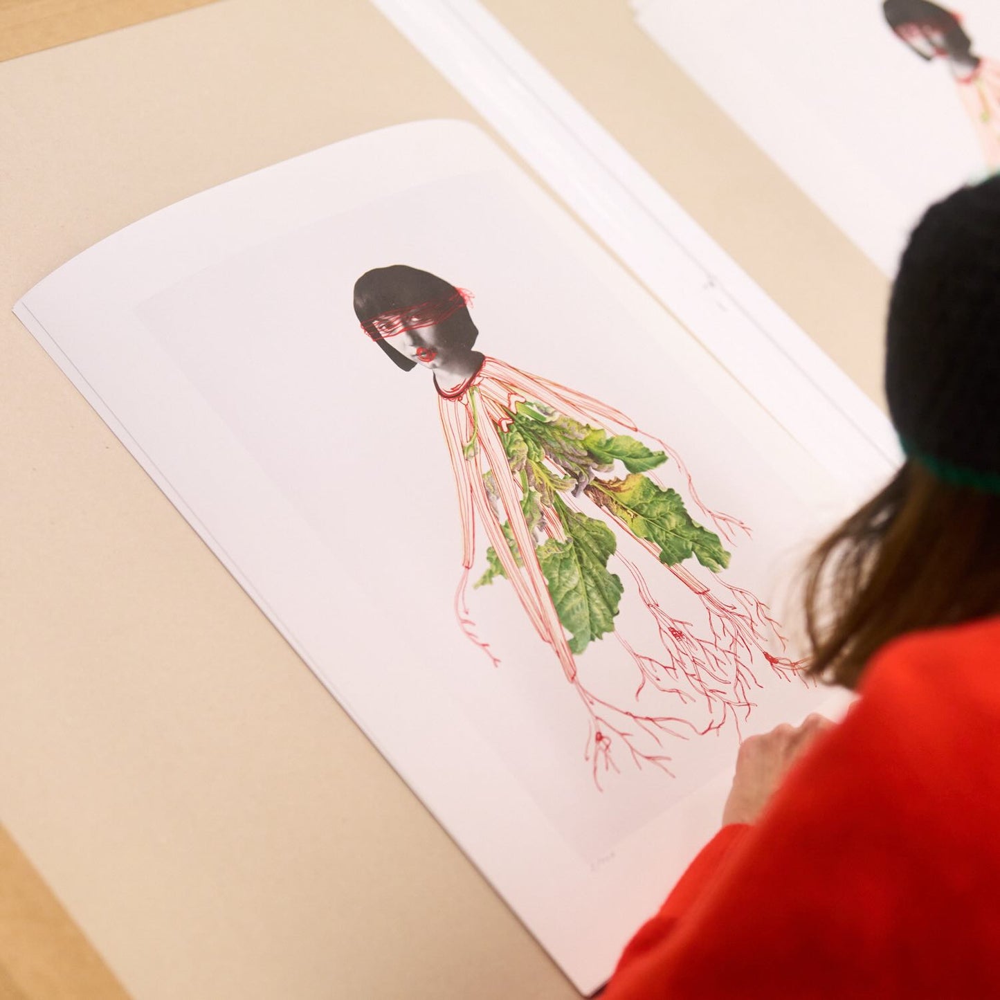 Eva Koťátková | Transplanted