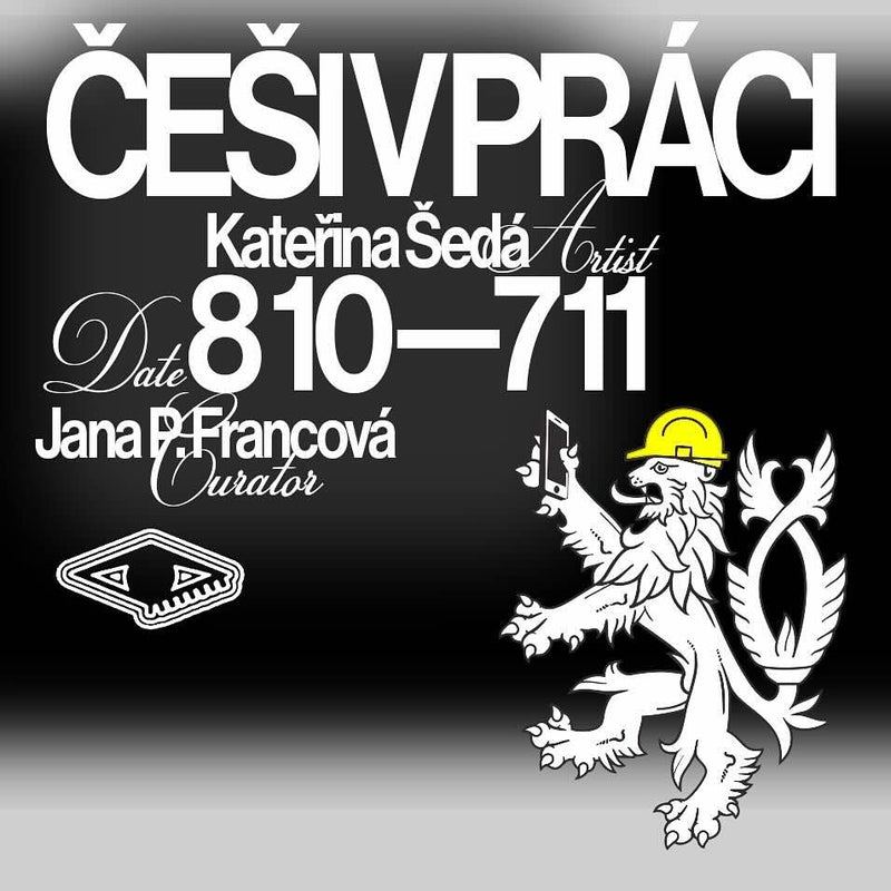 Kateřina Šedá / Češi v práci