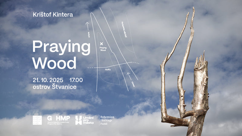 Krištof Kintera / Praying Wood