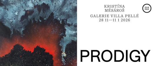 Kristína Mésároš / PRODIGY