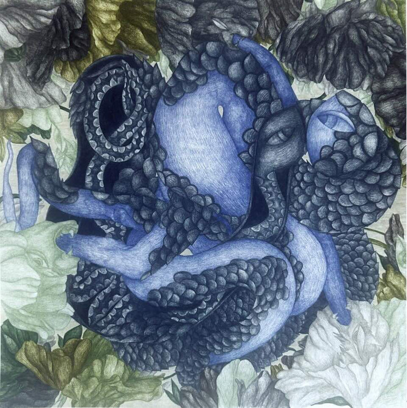Marie Lukáčová / Roaring Fluids