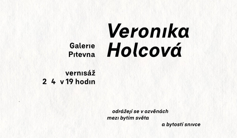 Veronika Holcová / Galerie Pitevna
