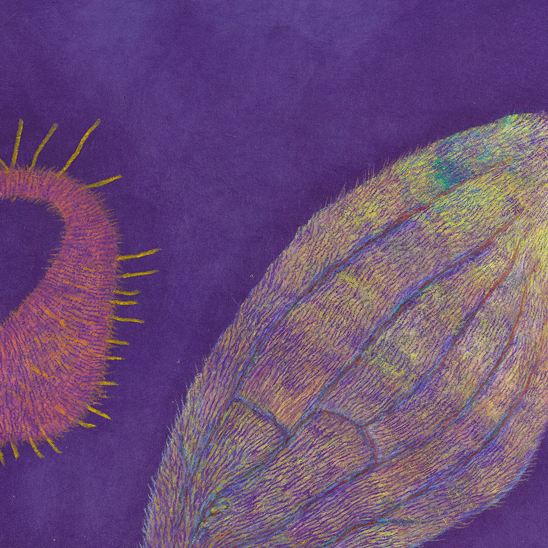 Print detail