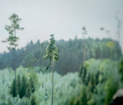 Zdeněk Daněk | Pýchavka - ORIGINÁL