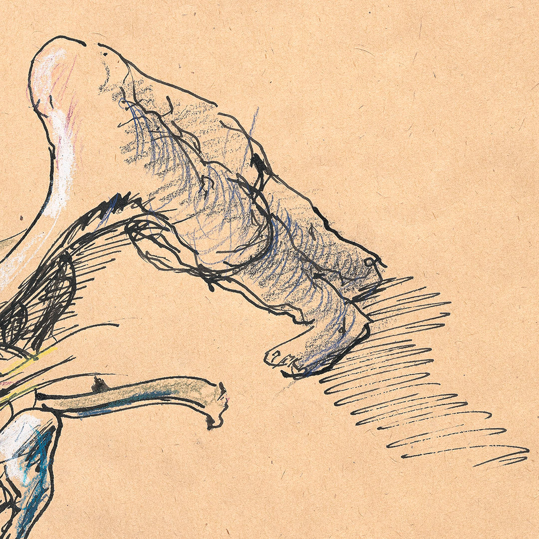 Print detail