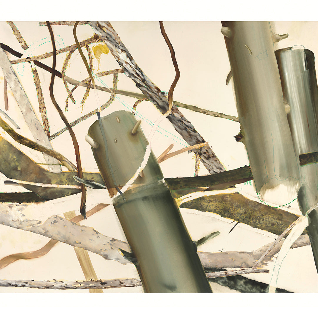 Helen Tóth | Tatranské safari