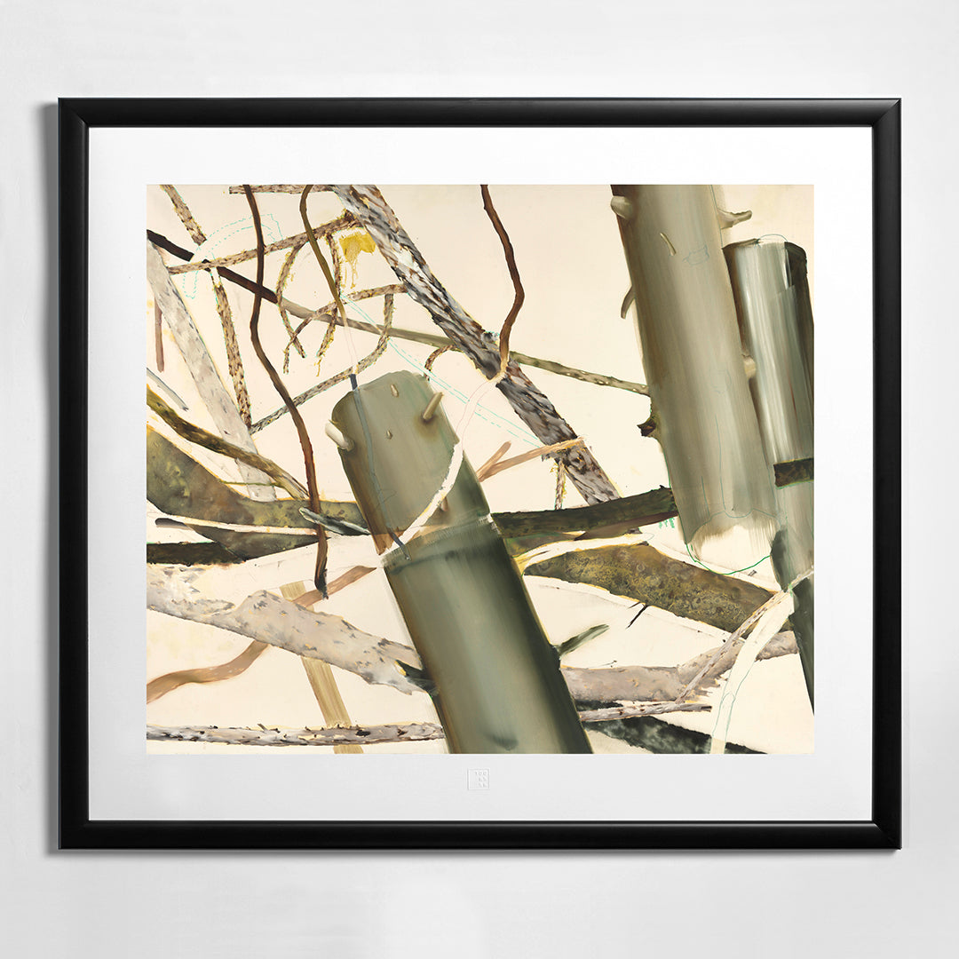 Helen Tóth | Tatranské safari