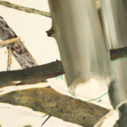 Helen Tóth | Tatranské safari