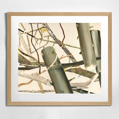 Helen Tóth | Tatranské safari