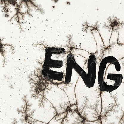 Krištof Kintera | Engine of Life