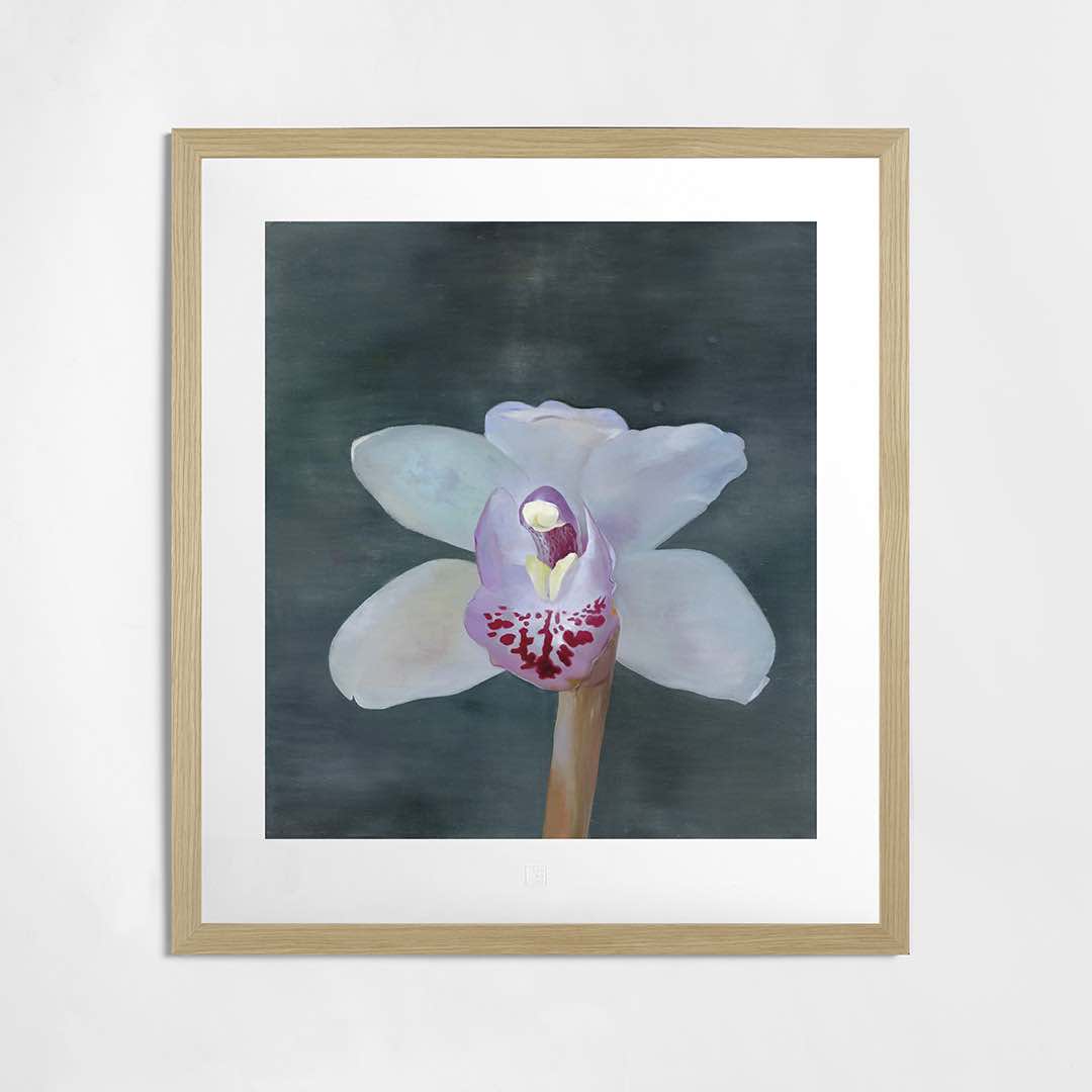 Petr Nikl | Orchid XIII