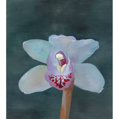 Petr Nikl | Orchid XIII