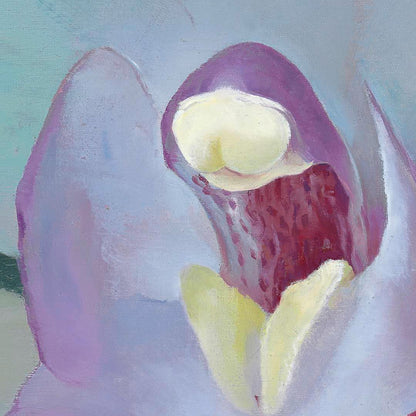 Petr Nikl | Orchid XIII