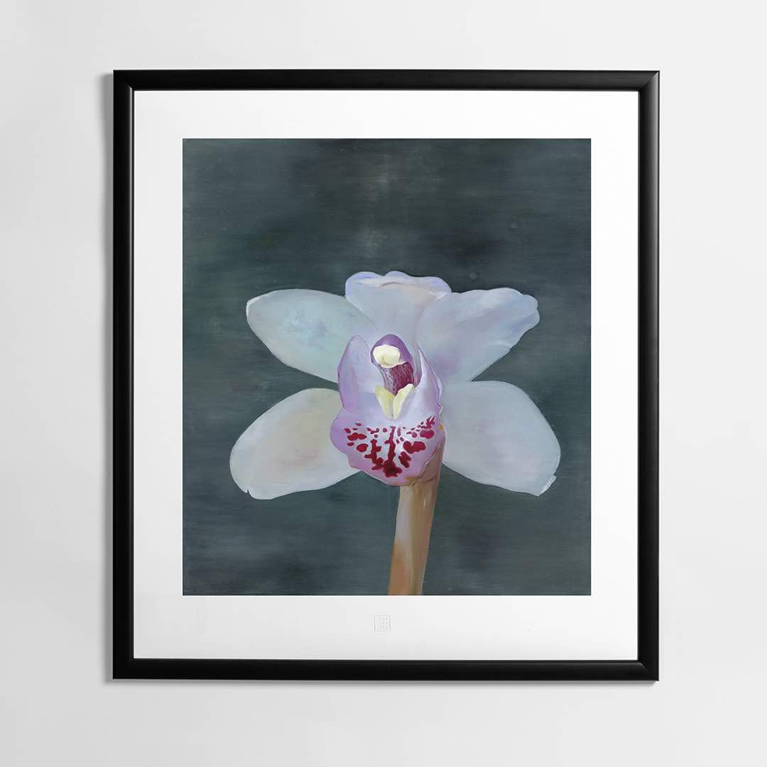 Petr Nikl | Orchid XIII