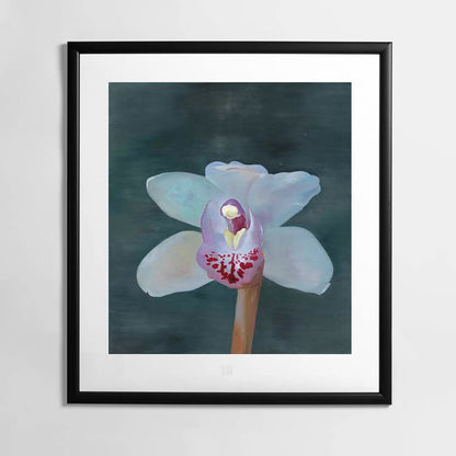 Petr Nikl | Orchid XIII