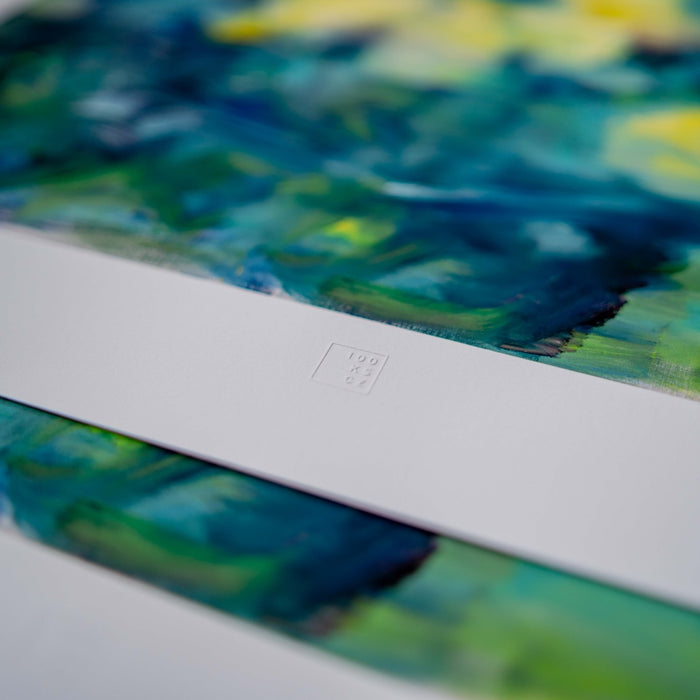 Tomáš Němec | Roses
