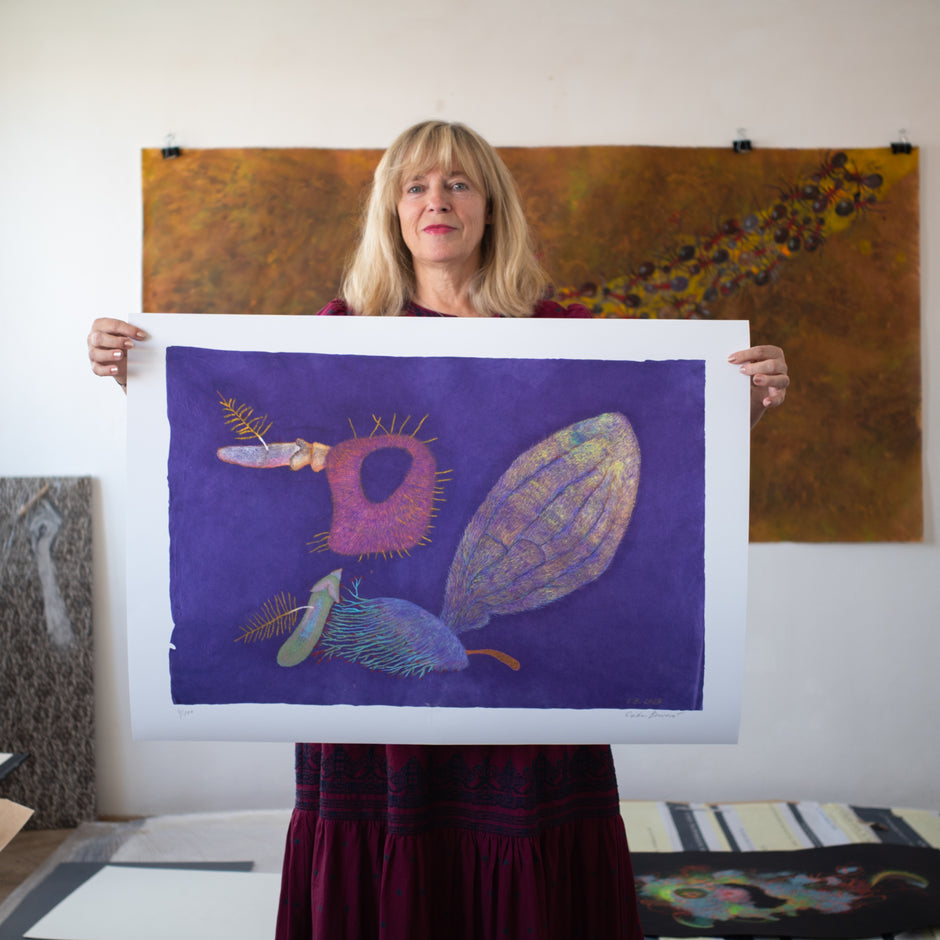 Erika Bornová | Insects