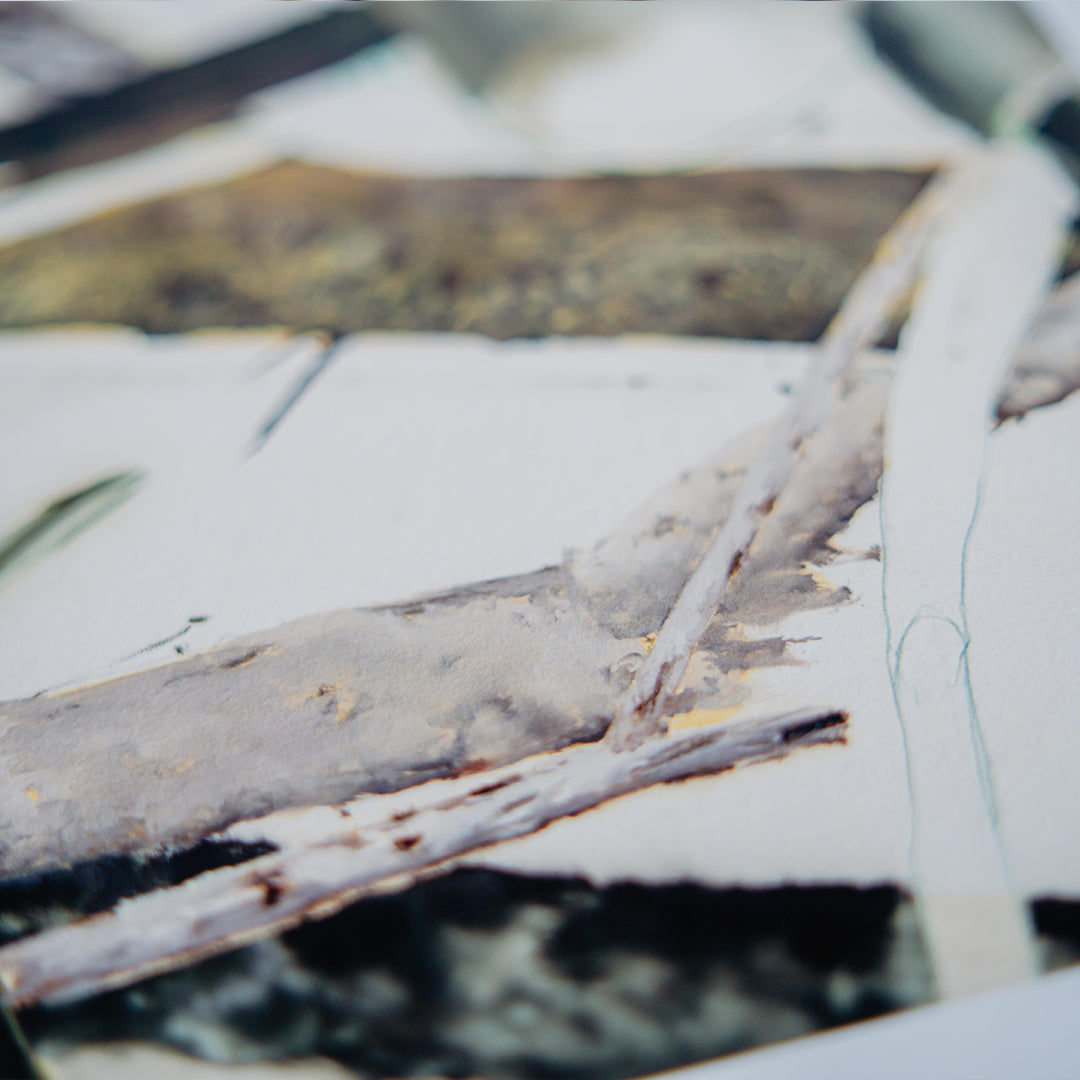 Helen Tóth | Tatranské safari