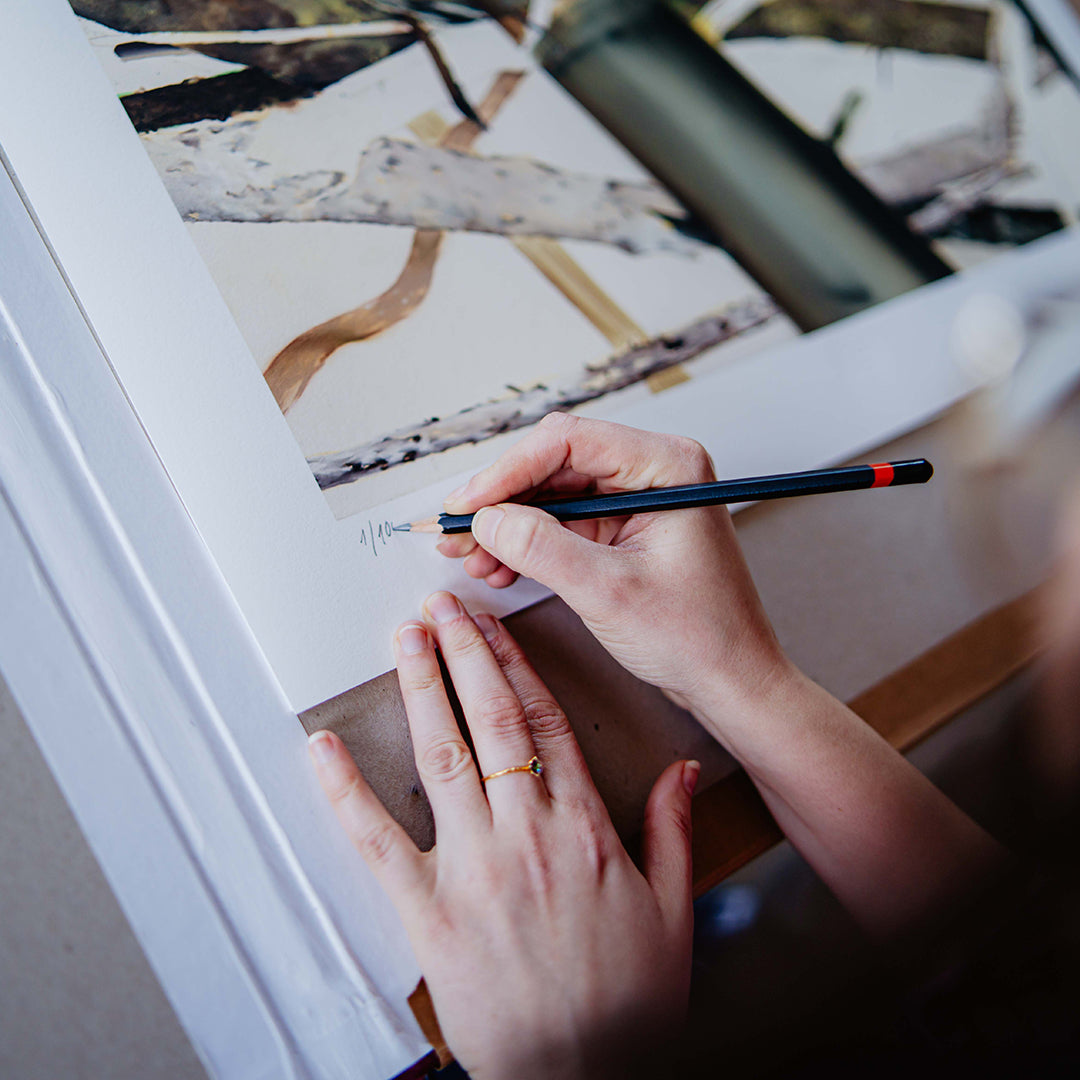 Helen Tóth | Tatranské safari