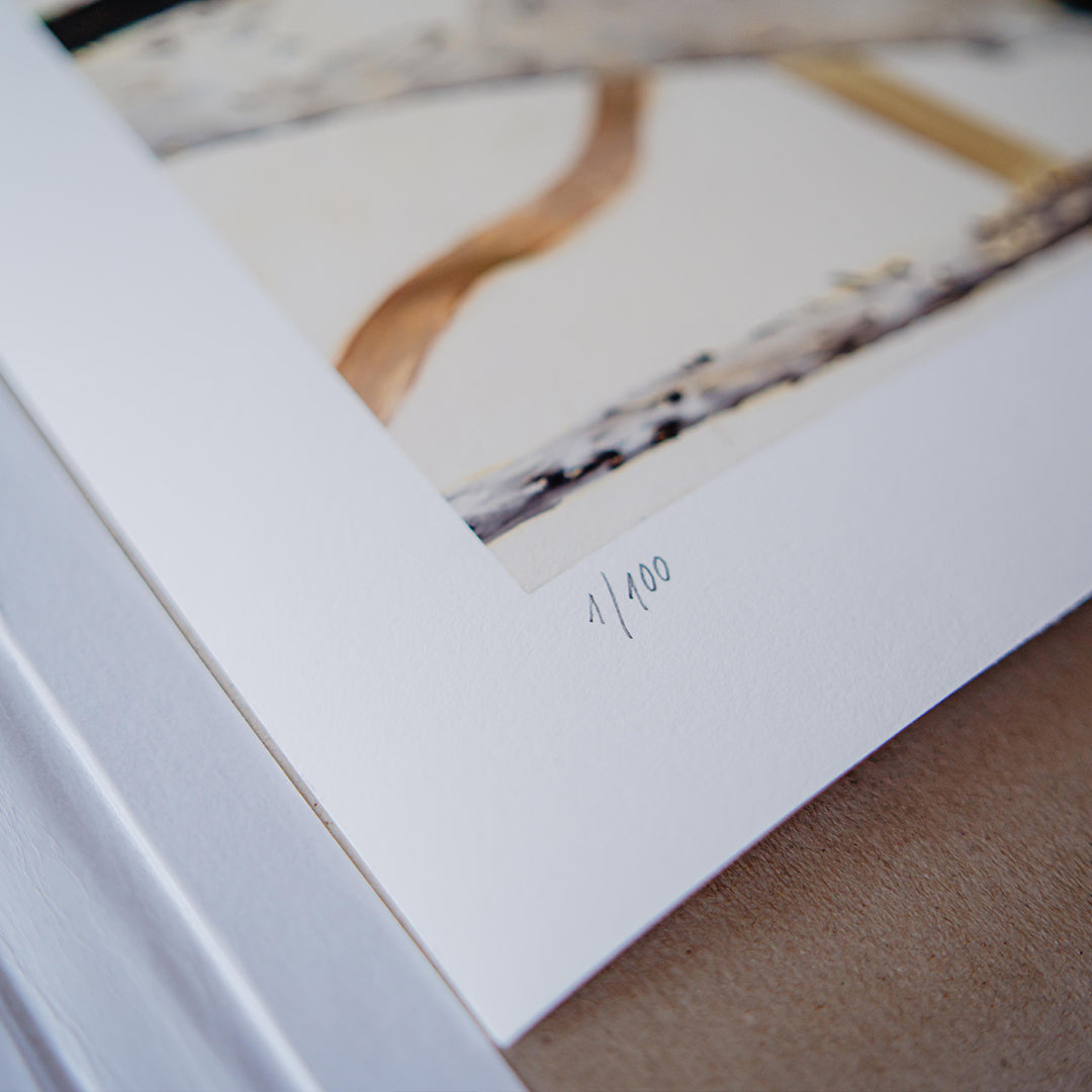 Helen Tóth | Tatranské safari