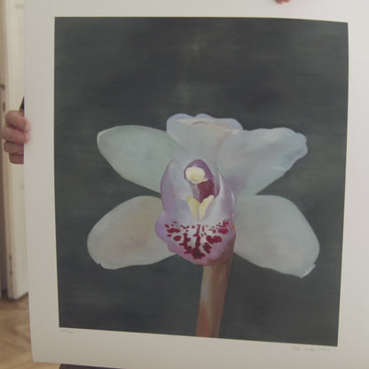 Petr Nikl | Orchid XIII